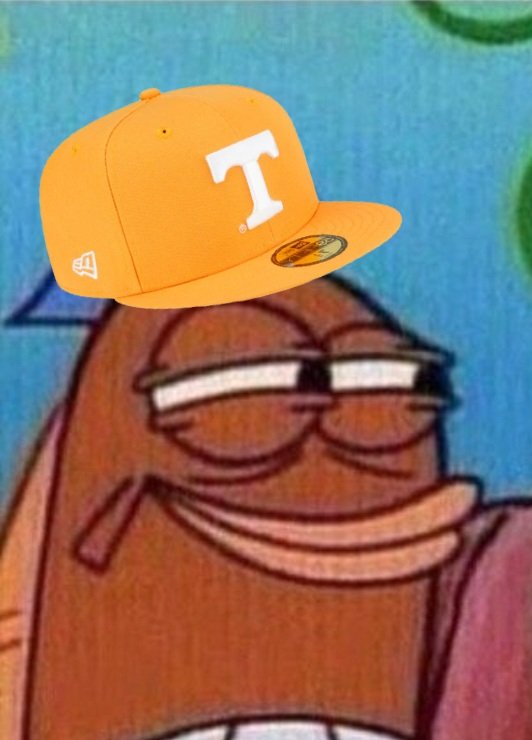 Stig the Orange tweet media