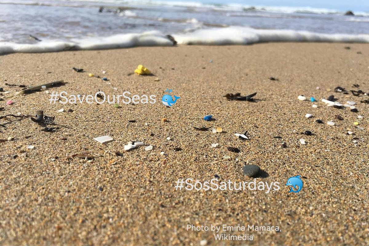 endelstamberg's tweet photo. #SosSaturdays 🐳 Week 303
"Plastic pollution is found in all habitats on Earth, and is considered a major environmental hazard."*
#SaveOurSeas 🐬
@SosSaturdays
@WorldOceansDay
@Greenpeace https://t.co/wyoJr2L8vC