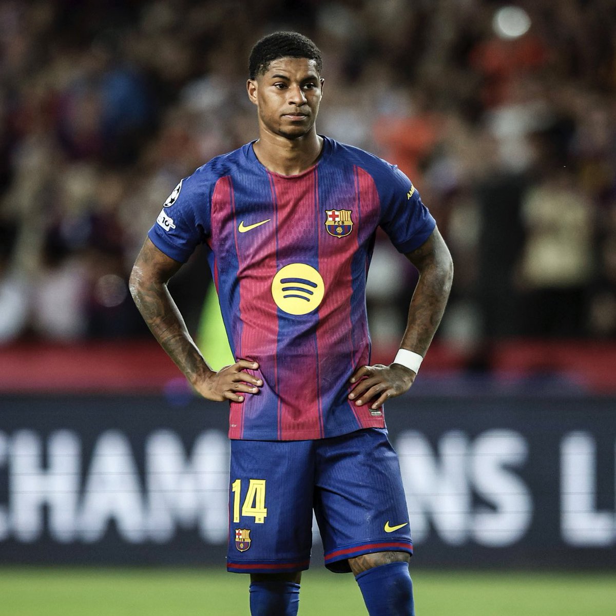 Red Army Brasil tweet media