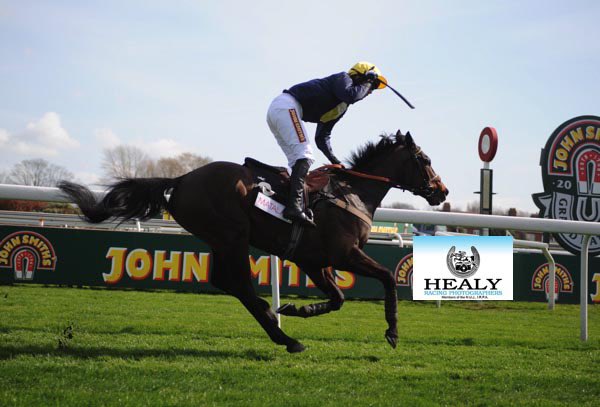 Hexham Racecourse tweet media