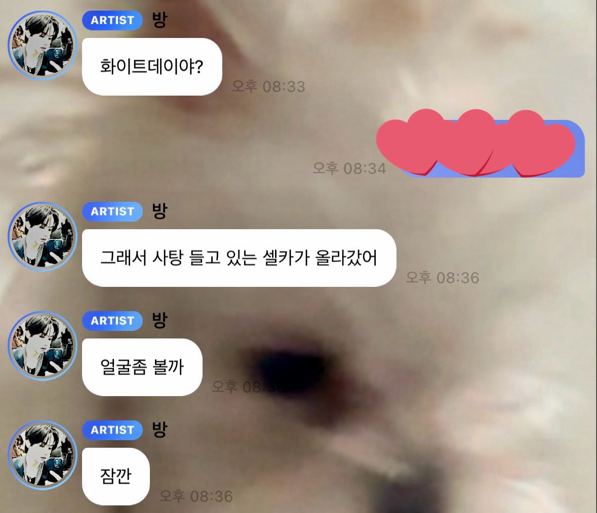 chupabchyu's tweet photo. 얼굴좀 볼까 🐰🥰 https://t.co/hcrXCyyyWG
