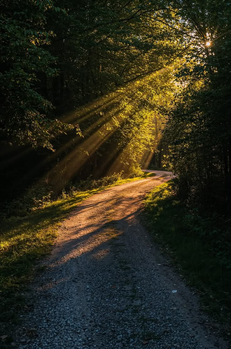 şöyle bir sakinlik tweet media