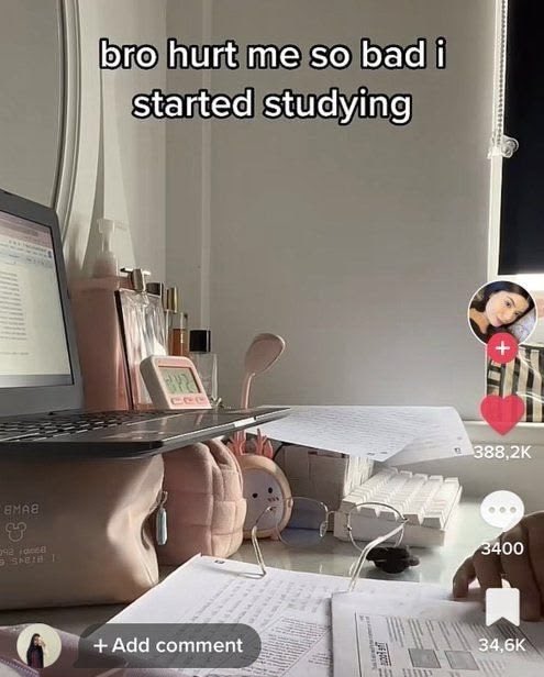 femmenotes tweet media