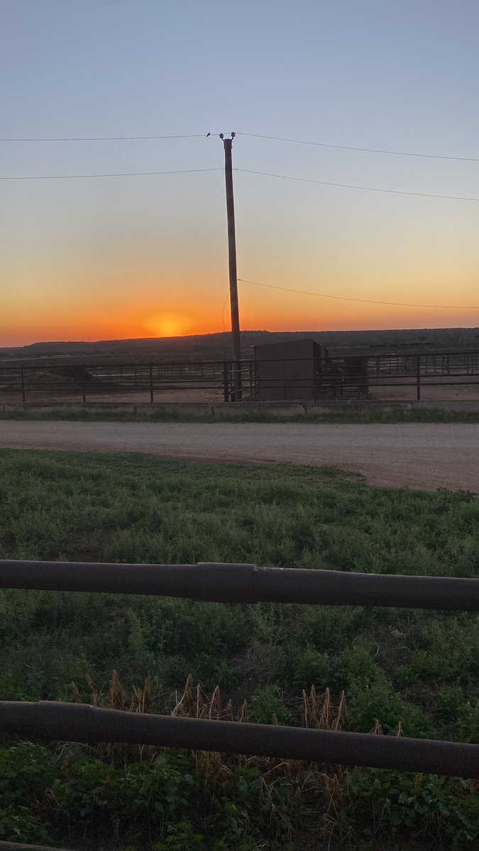 Who would wanna sleep through seeing that!?