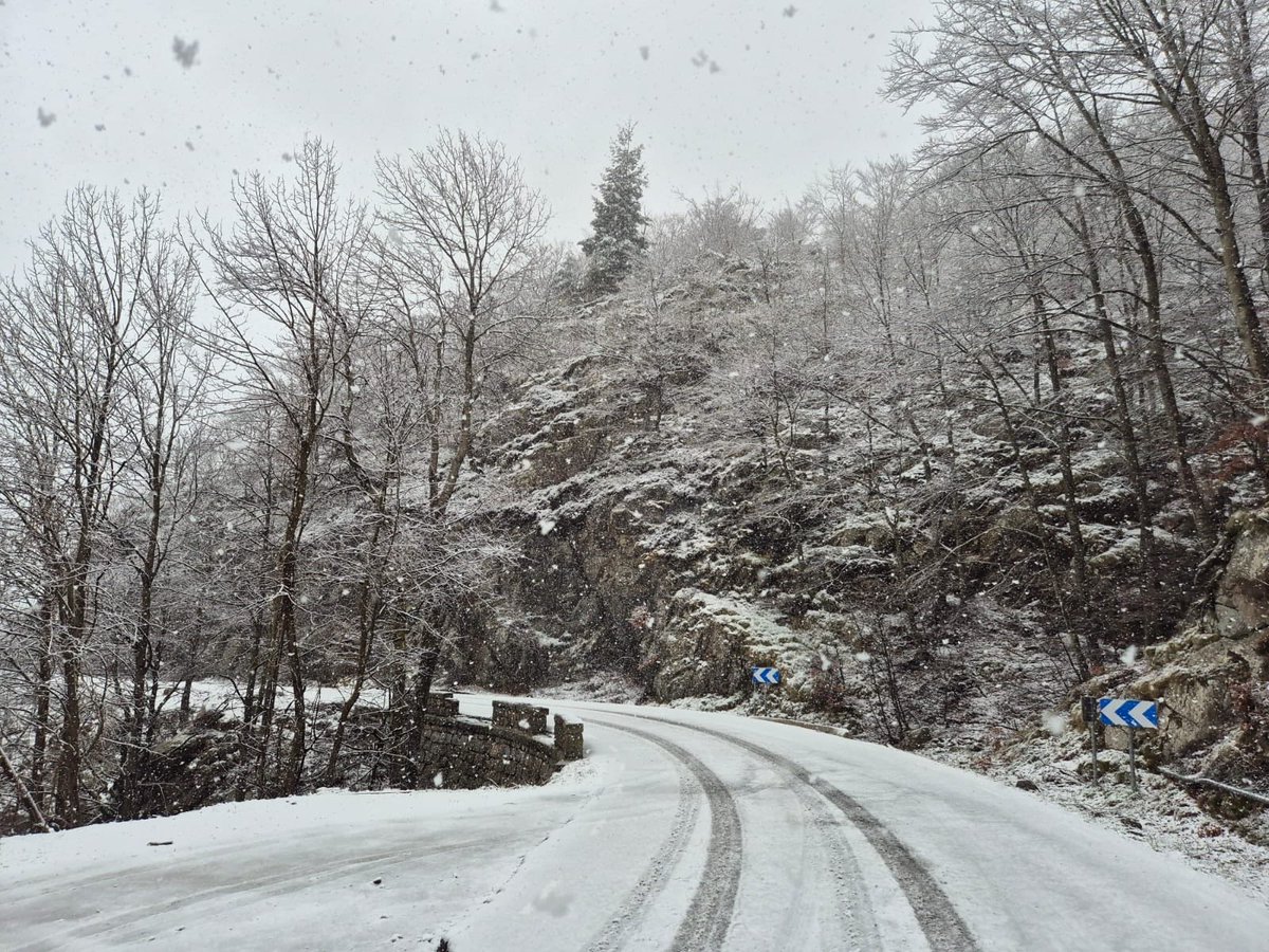 Projecte 4 Estacions tweet media