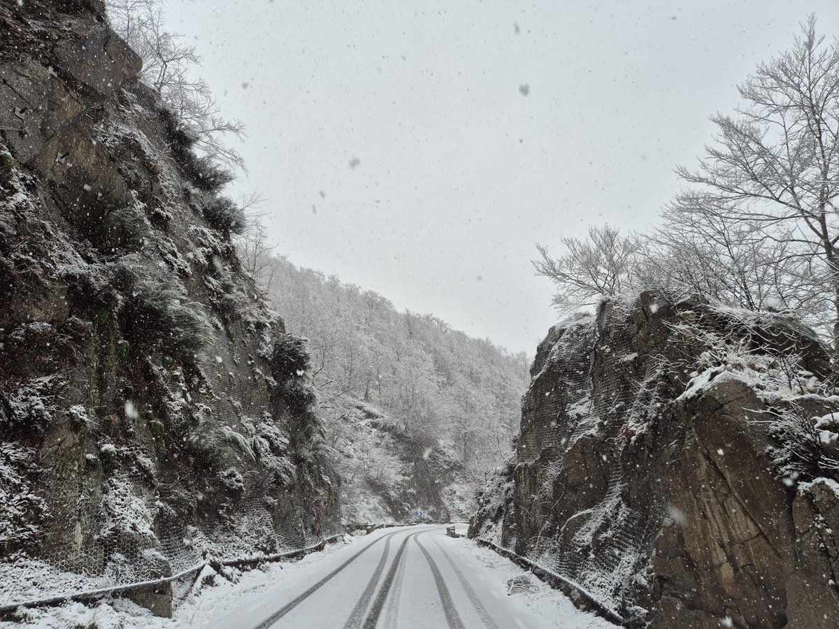 Projecte 4 Estacions tweet media