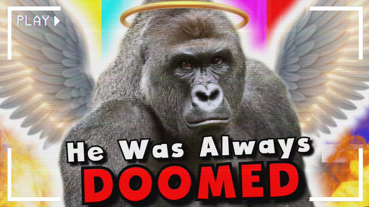 Boone from BooneU tweet media