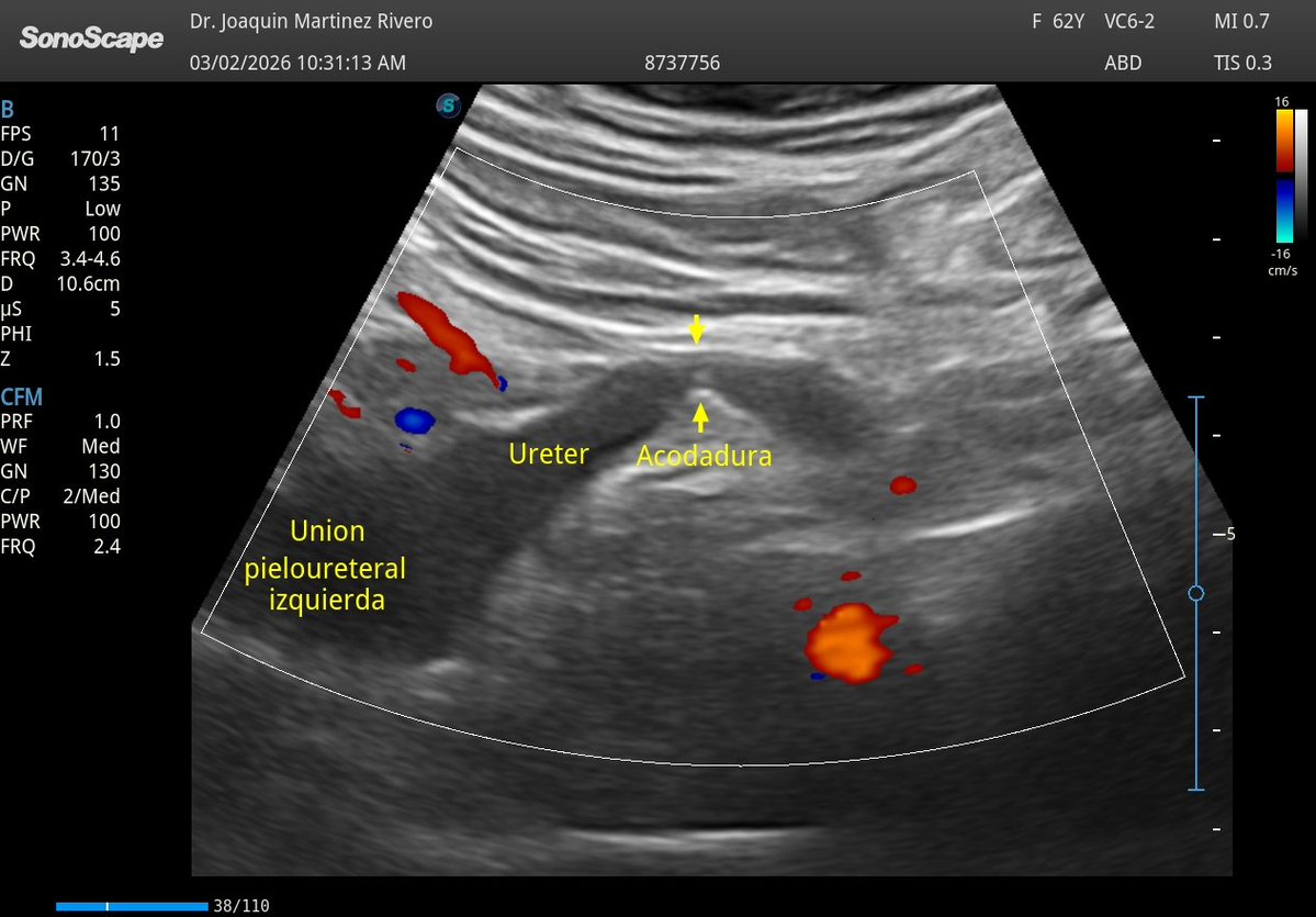 Joaquín Martínez tweet media