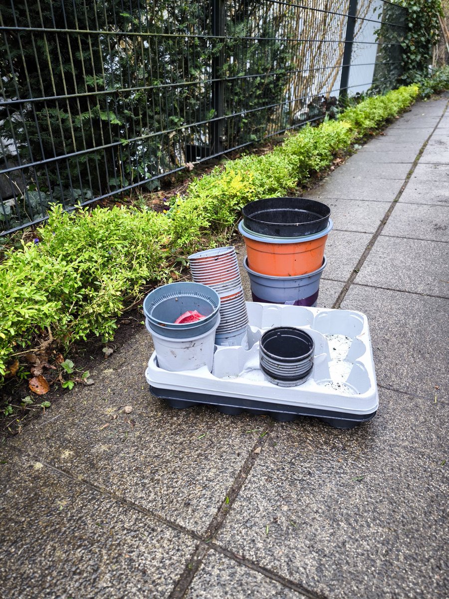 Dr. Michael Schmitz tweet media