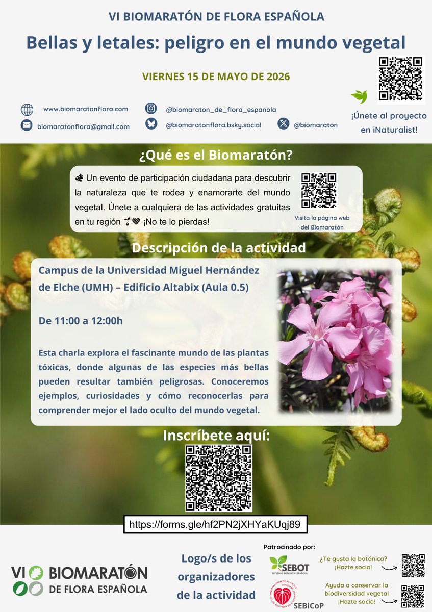 Biomaratón de Flora Española tweet media