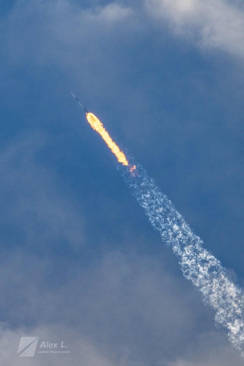 Alex L. 🚀 tweet media