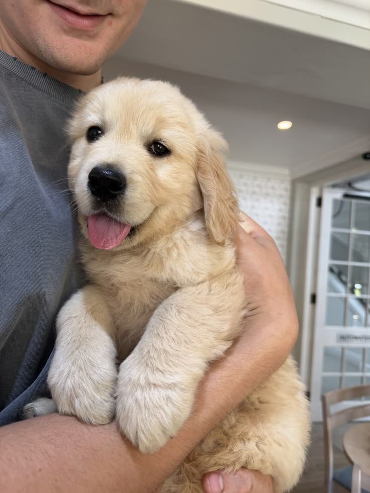 petpuppies👿😺 tweet media