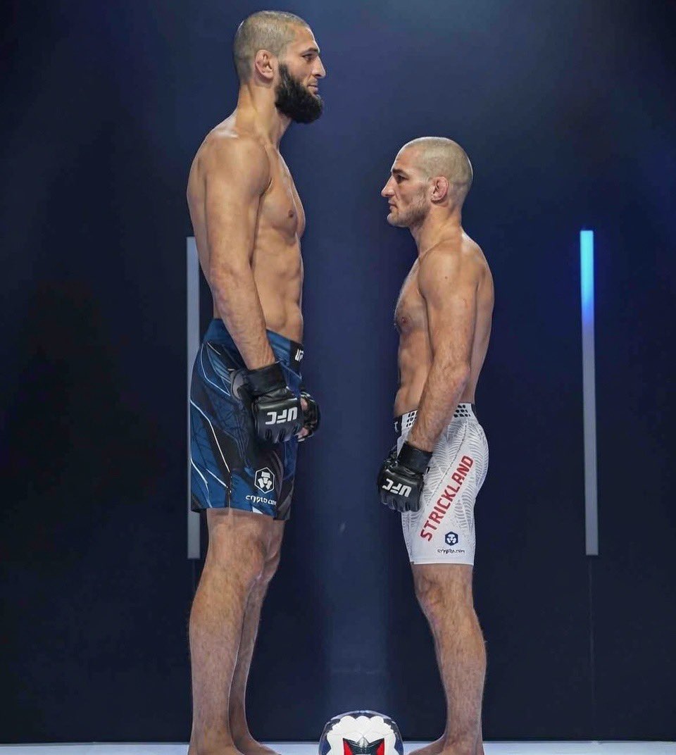 Sight Hive tweet media