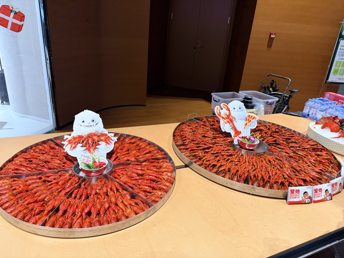 Grace Bear X tweet media