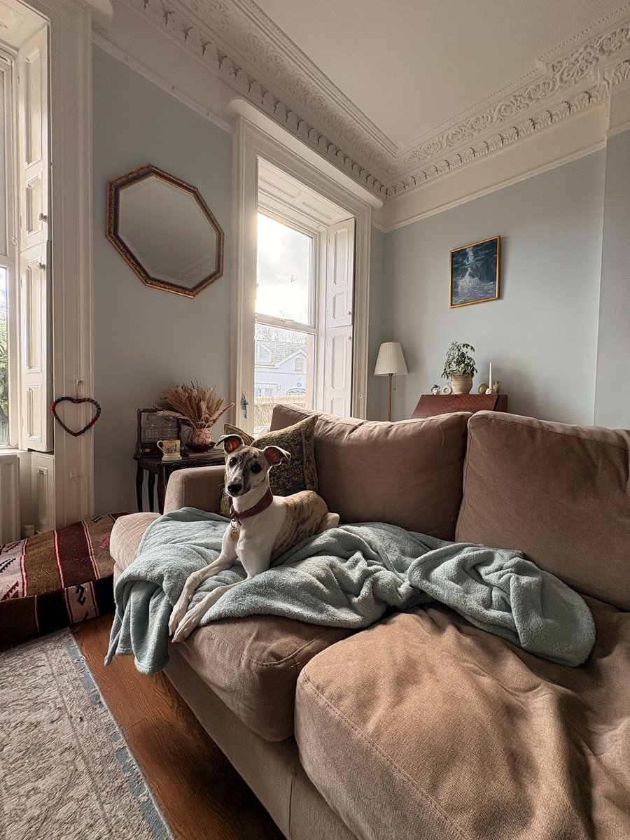 Adam James Pollock tweet media