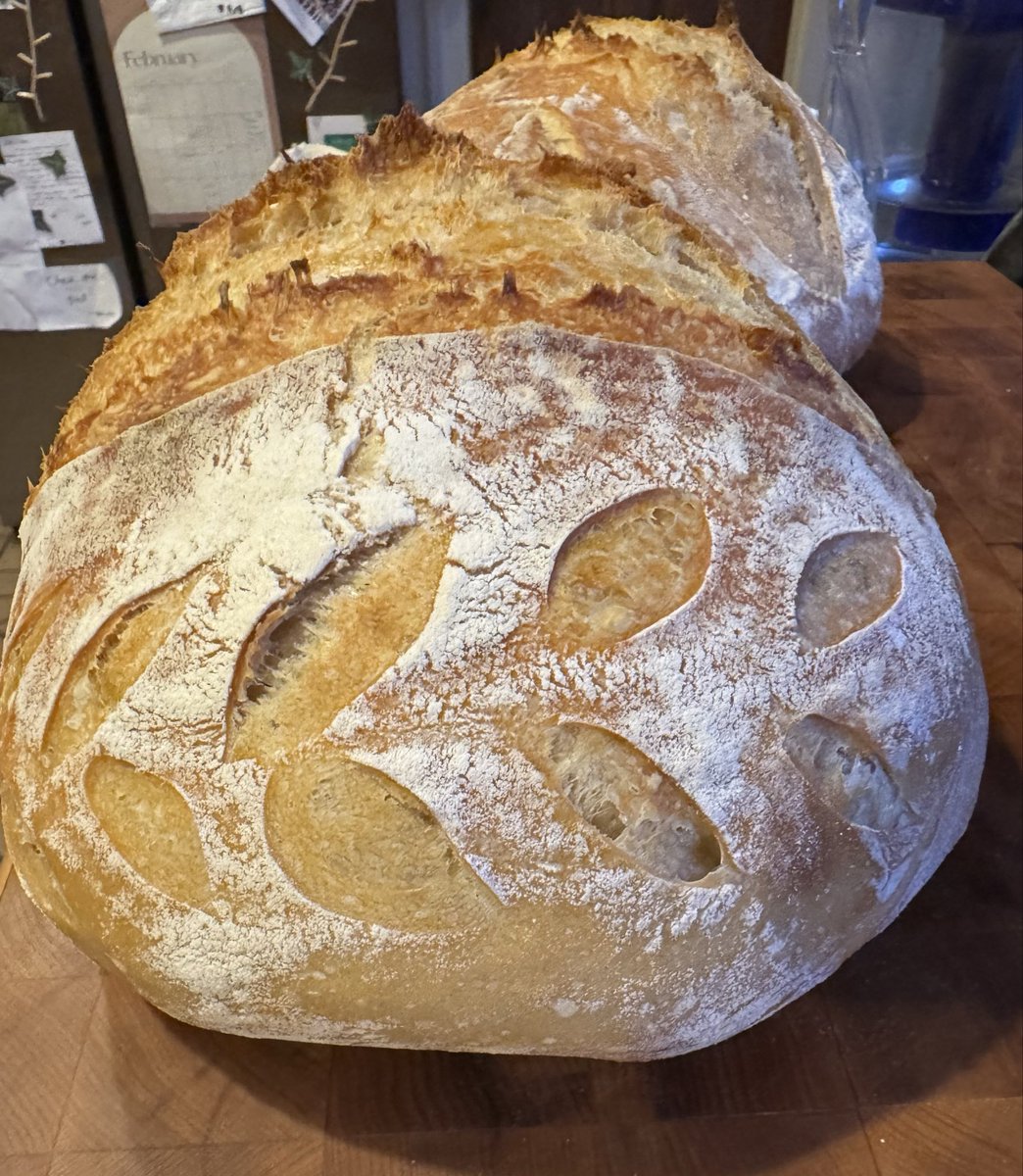 Anastasia tweet media