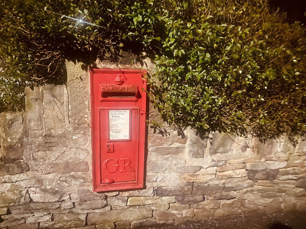 Mike Fox tweet media