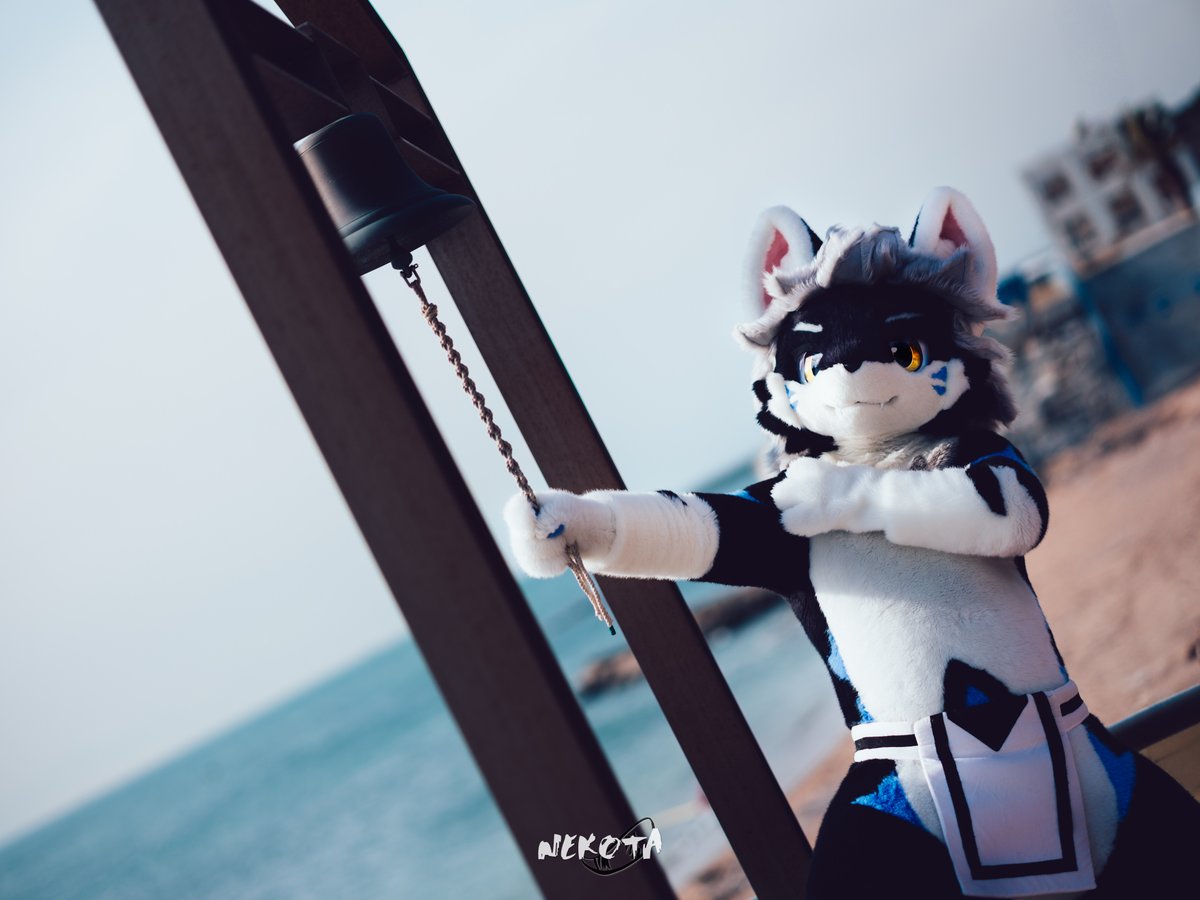 金枪鱼 ｜ ツナマヨ 🍙 tweet media