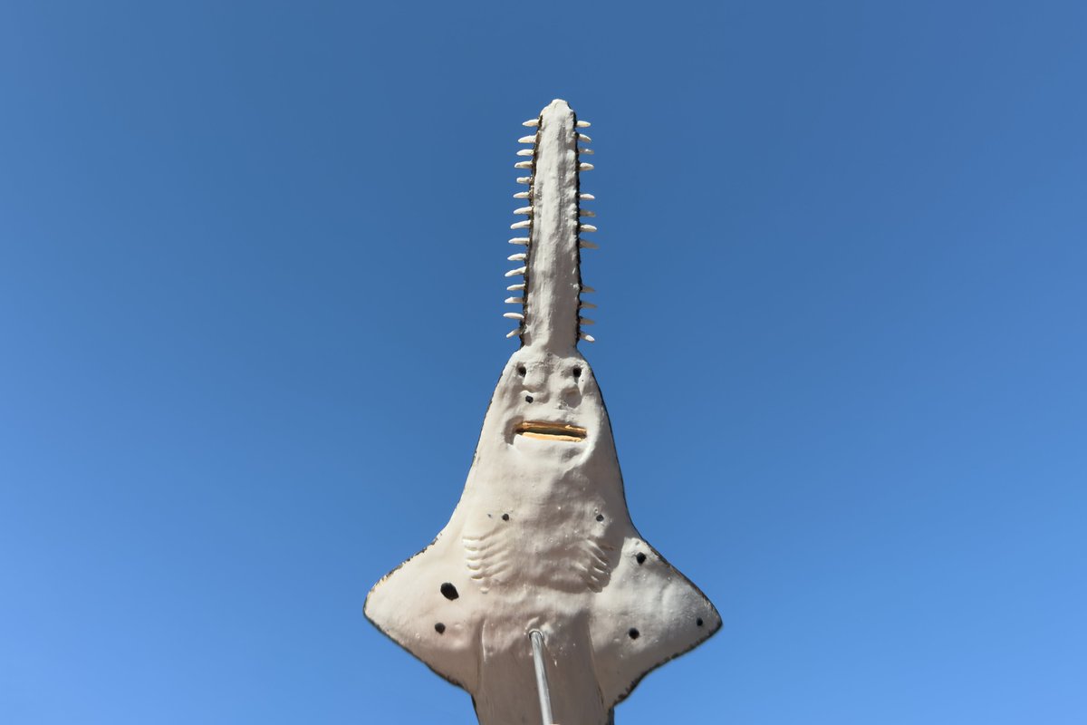 MEGALODON様 <a href="/MEGALOD18201773/">MEGALODON</a> により世界一リアルなノコギリエイのフィギュアを作っていただきました！ 吻の歯の形状や並びから筋肉の凹凸、質感までもが再現され、圧倒的な造形美です！