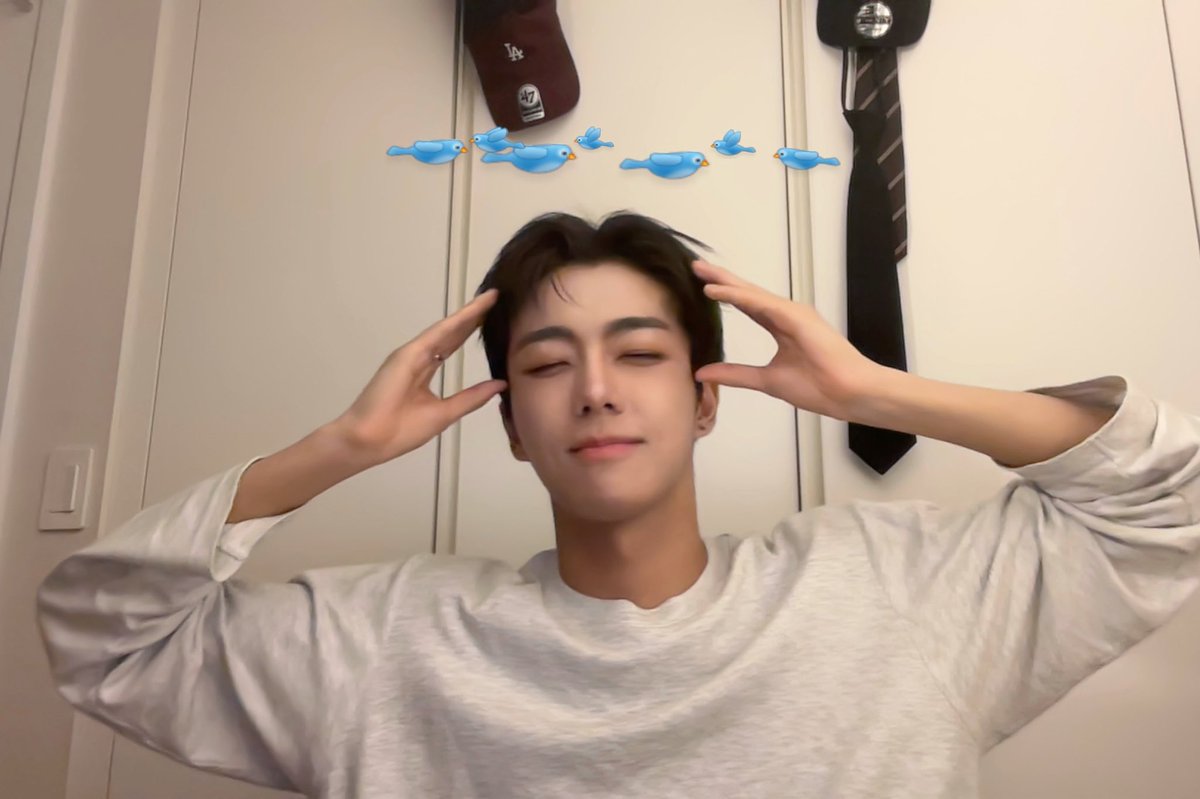 rowan updates 🌱 tweet media