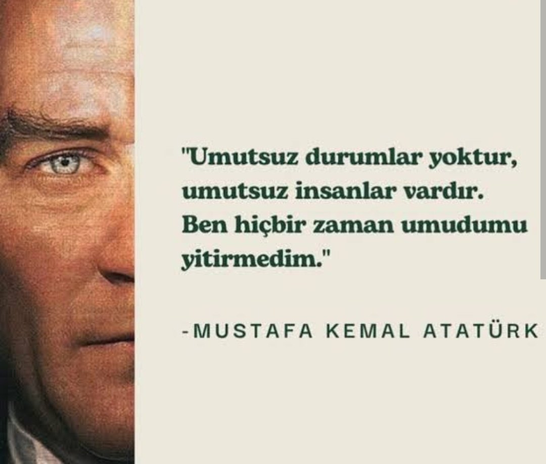 sevil sen sevil tweet media