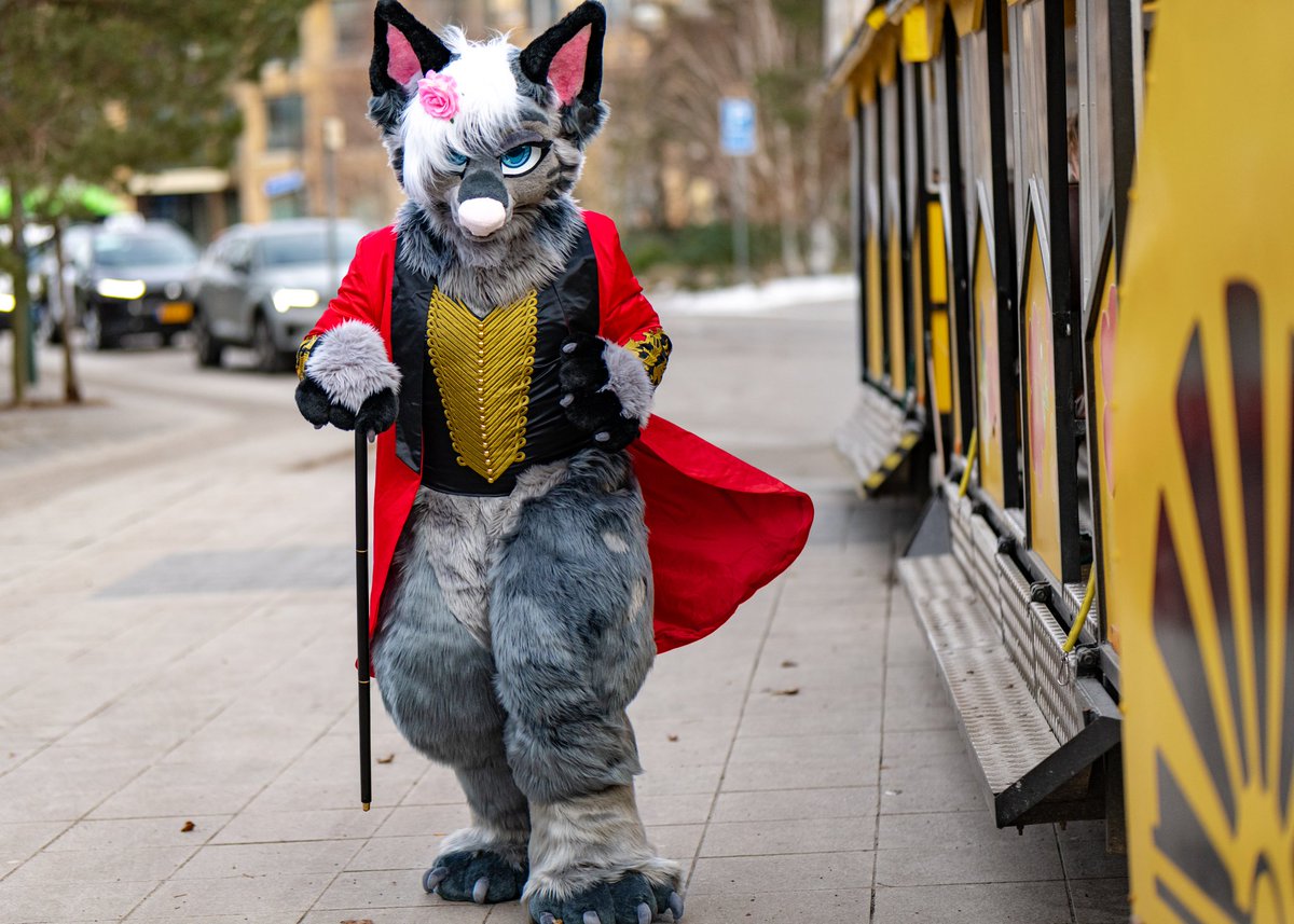 Rothritter tweet media