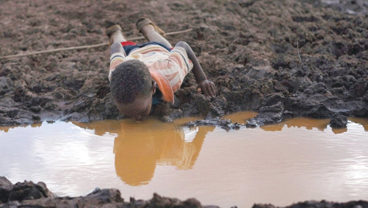 Admire Mupemhi tweet media