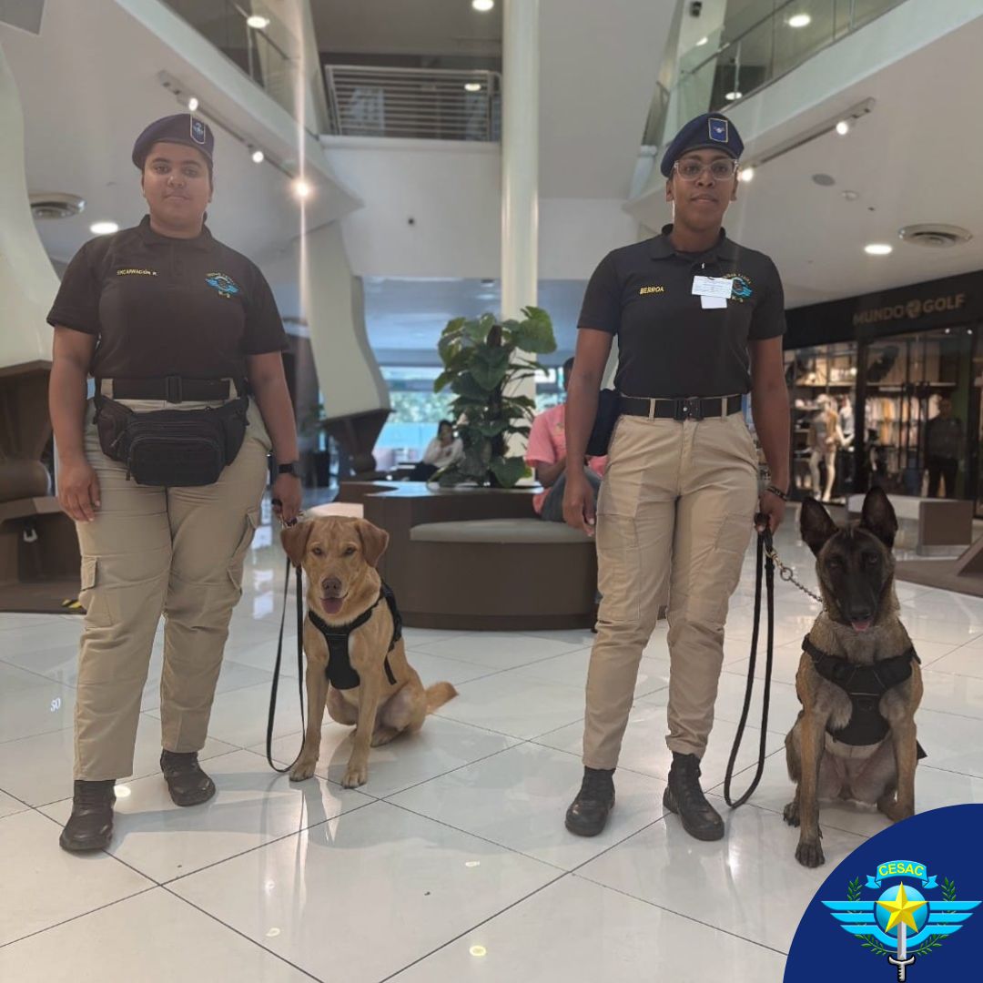 Cuerpo Especializado en Seguridad Aeroportuaria tweet media