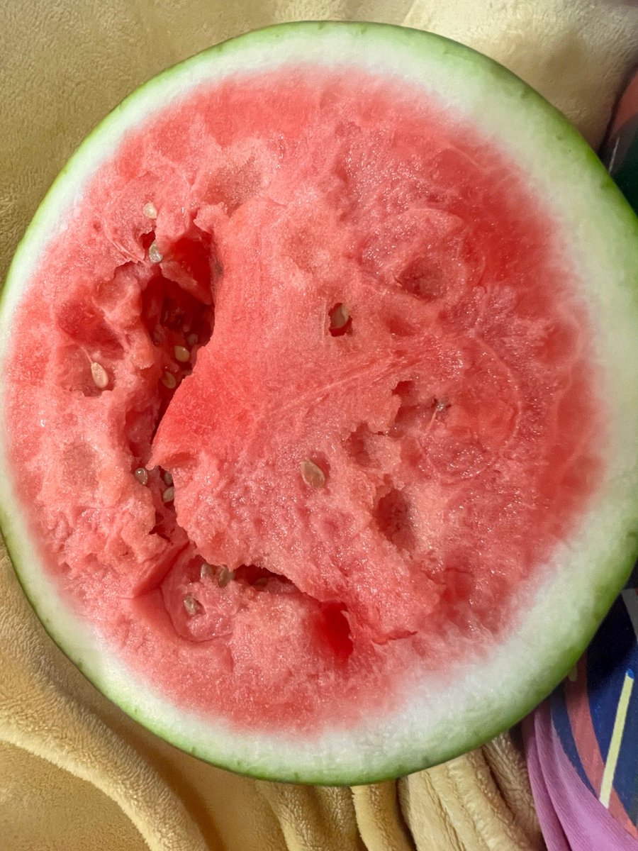 Thiago Costa Moreira tweet media