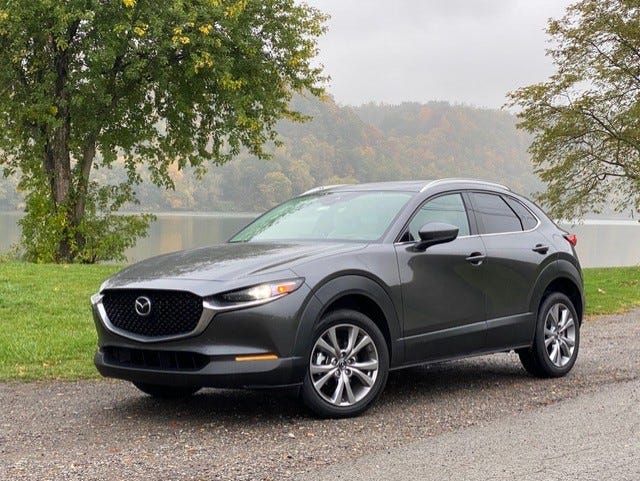 ZombieHedgehog | Hedgehog Makes tweet media