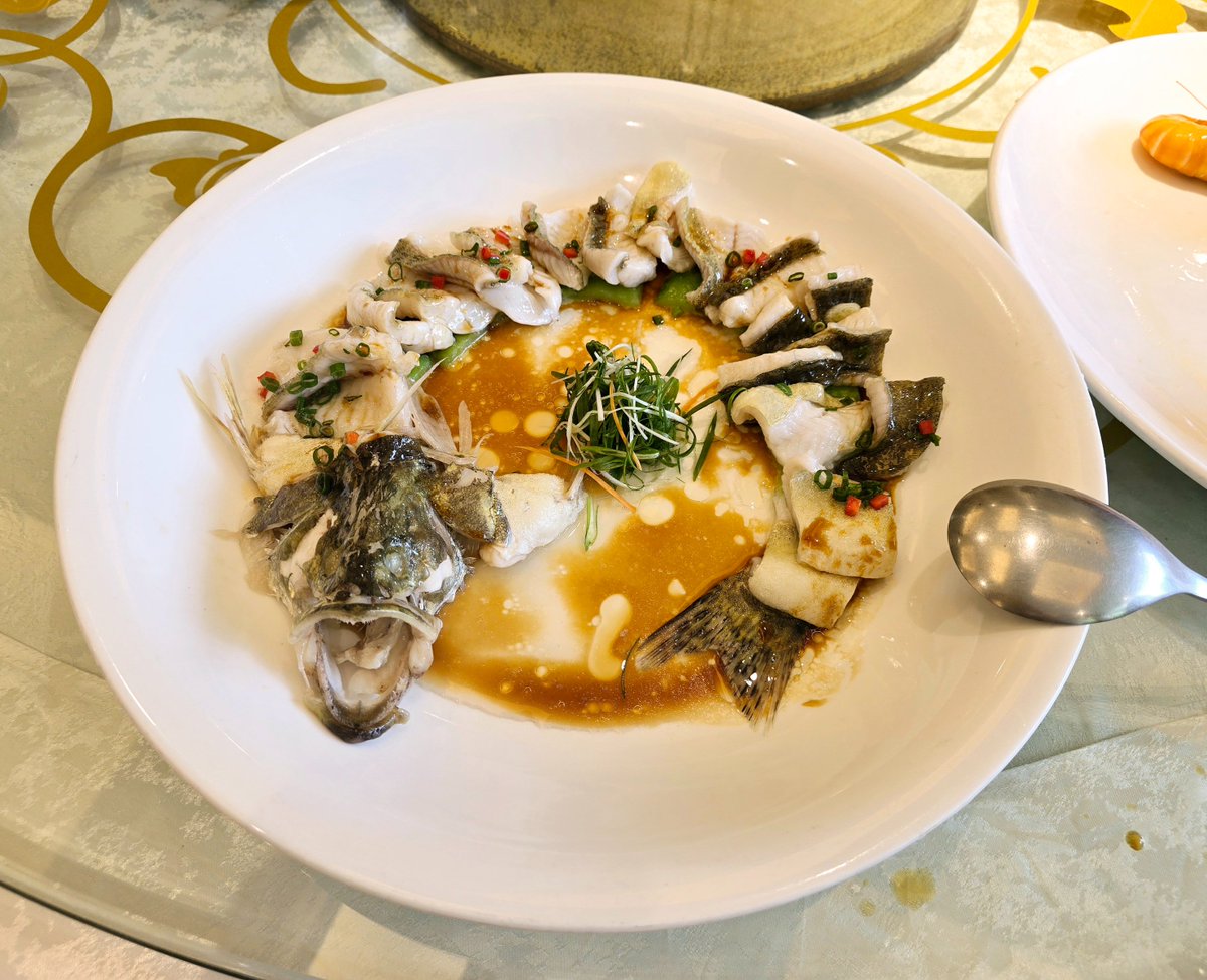 Ryan Pirapnct. tweet media