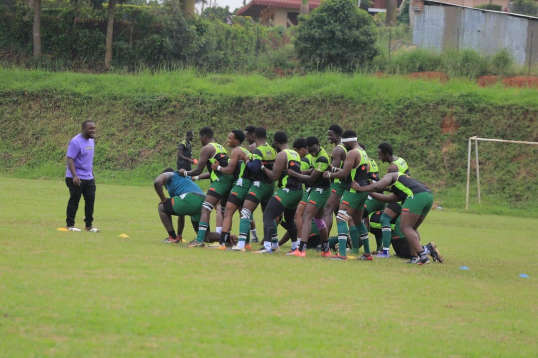 Impis Rugby Club tweet media