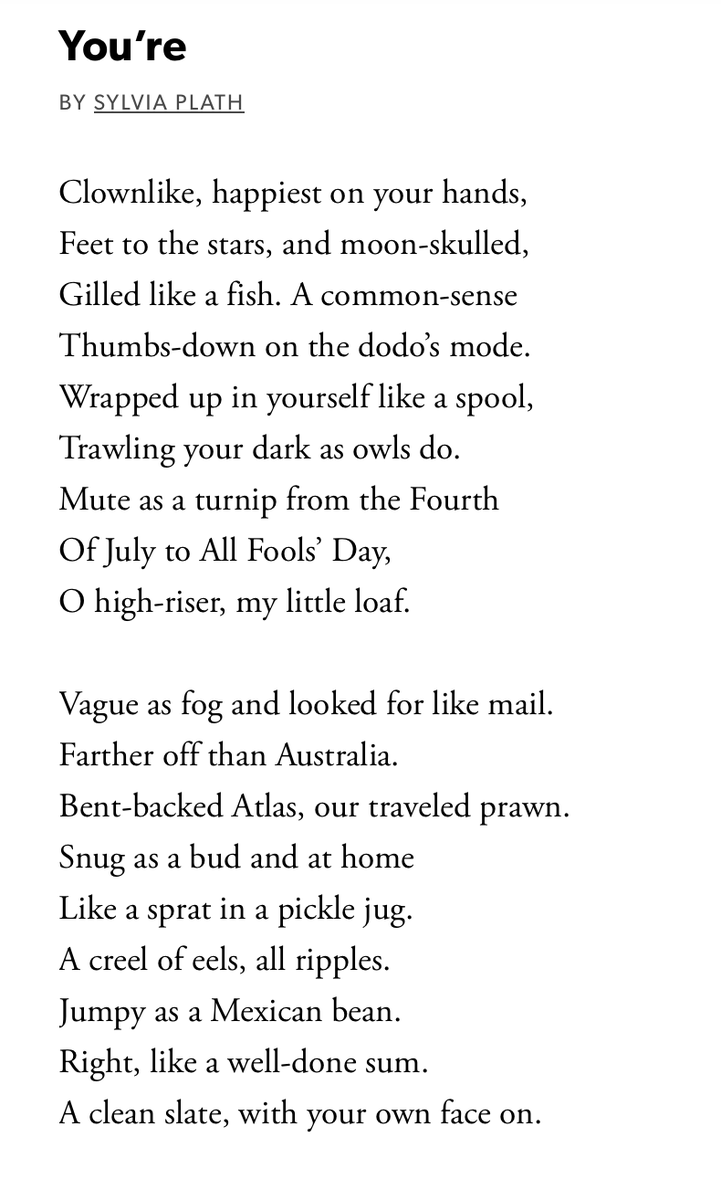 NorthernGravy tweet media