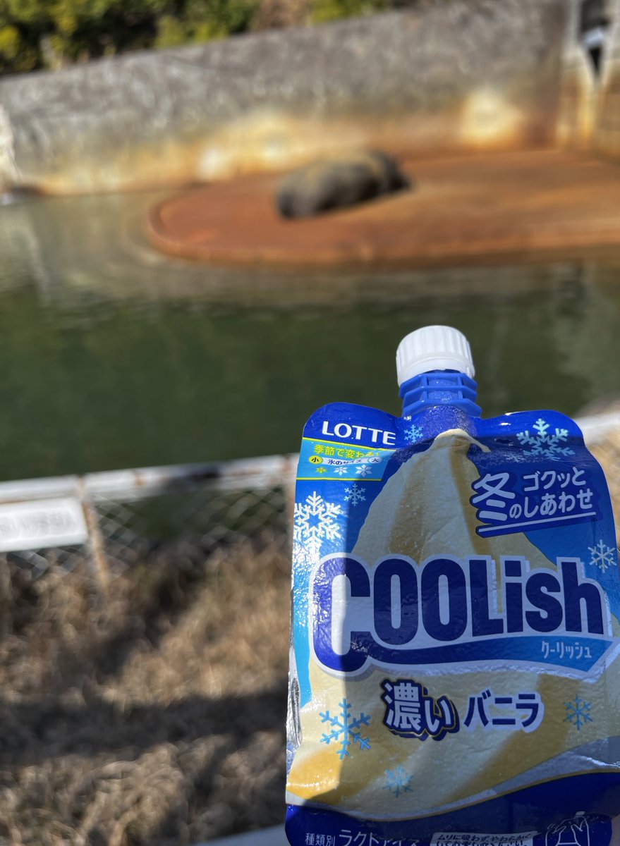 ゆずぴ tweet media