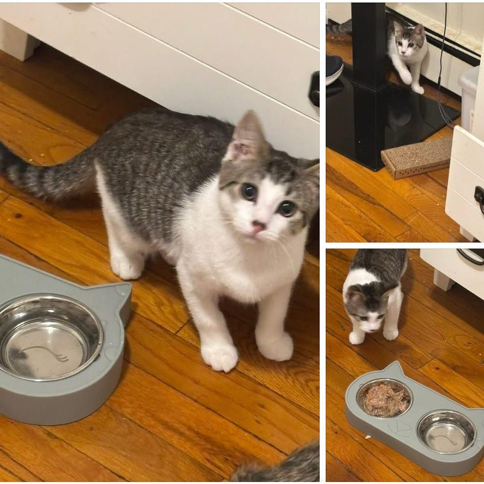 Sara Mary ⭐❤️ tweet media