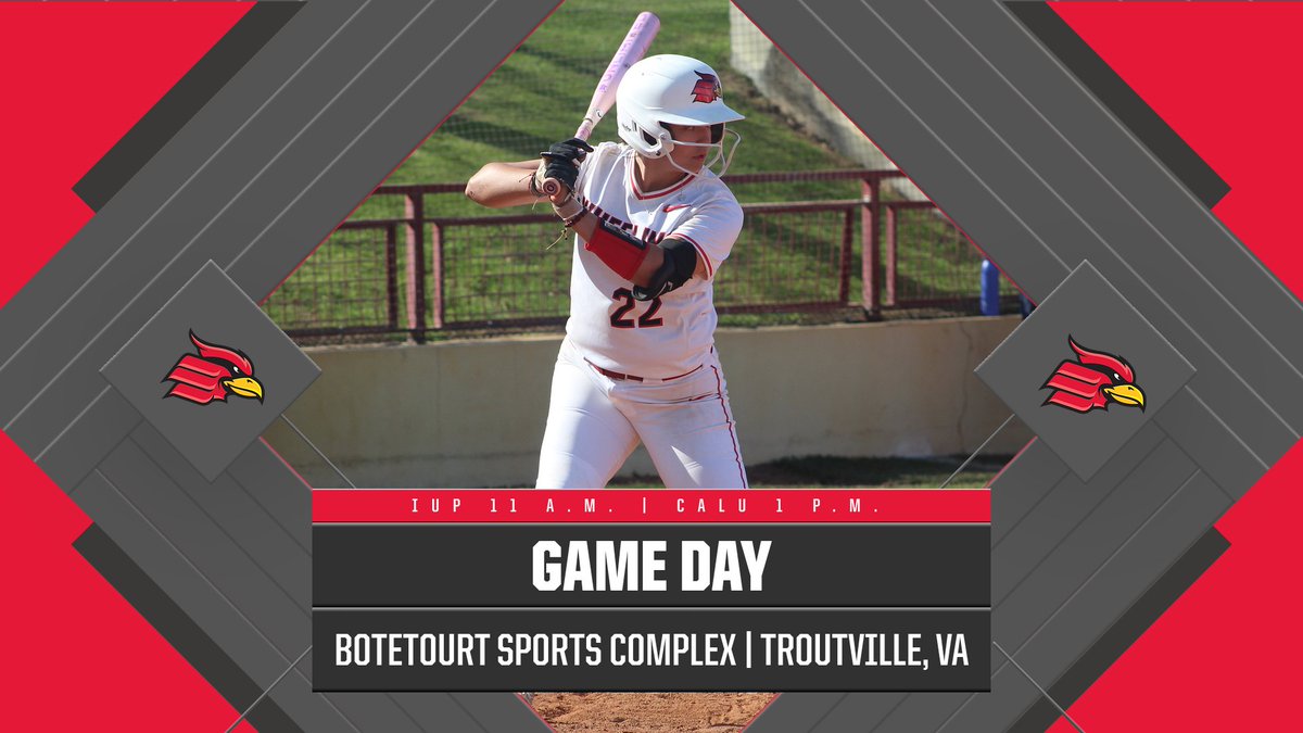 Wheeling University Softball tweet media