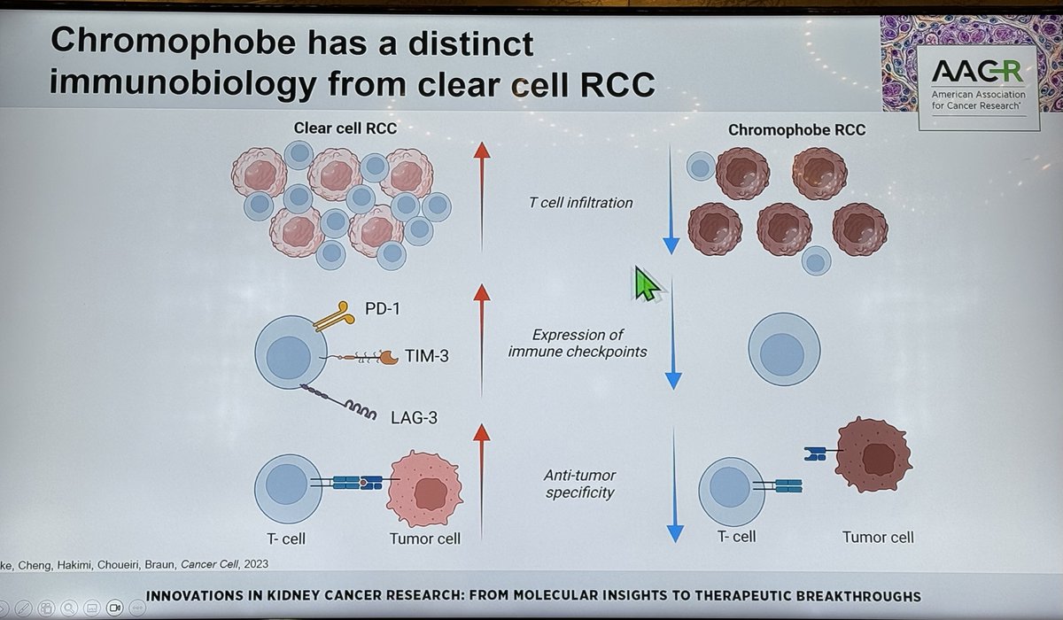 Katy Beckermann tweet media