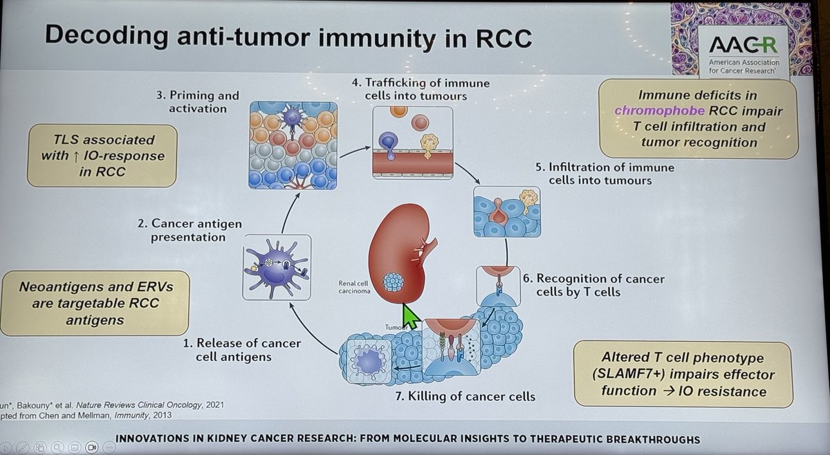 Katy Beckermann tweet media