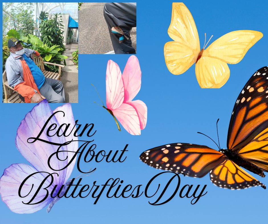 agingwithdd tweet media