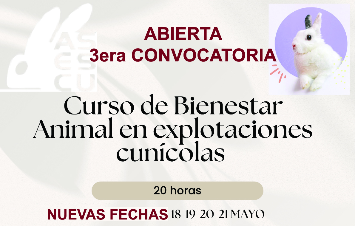 Asociación Española de Cunicultura tweet media