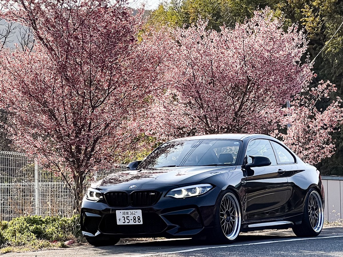 luanamomipono's tweet photo. もうすっかり春ですな🌸
#BMW
#M2
#BMWM2
#M2competition https://t.co/tqIYTFTyB8