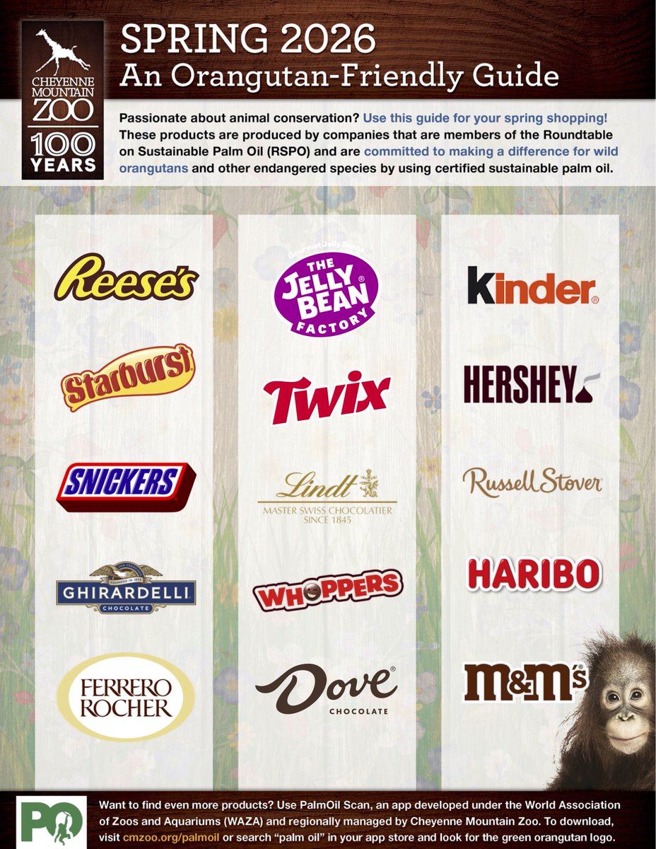 IntlElephantFoundatn tweet media