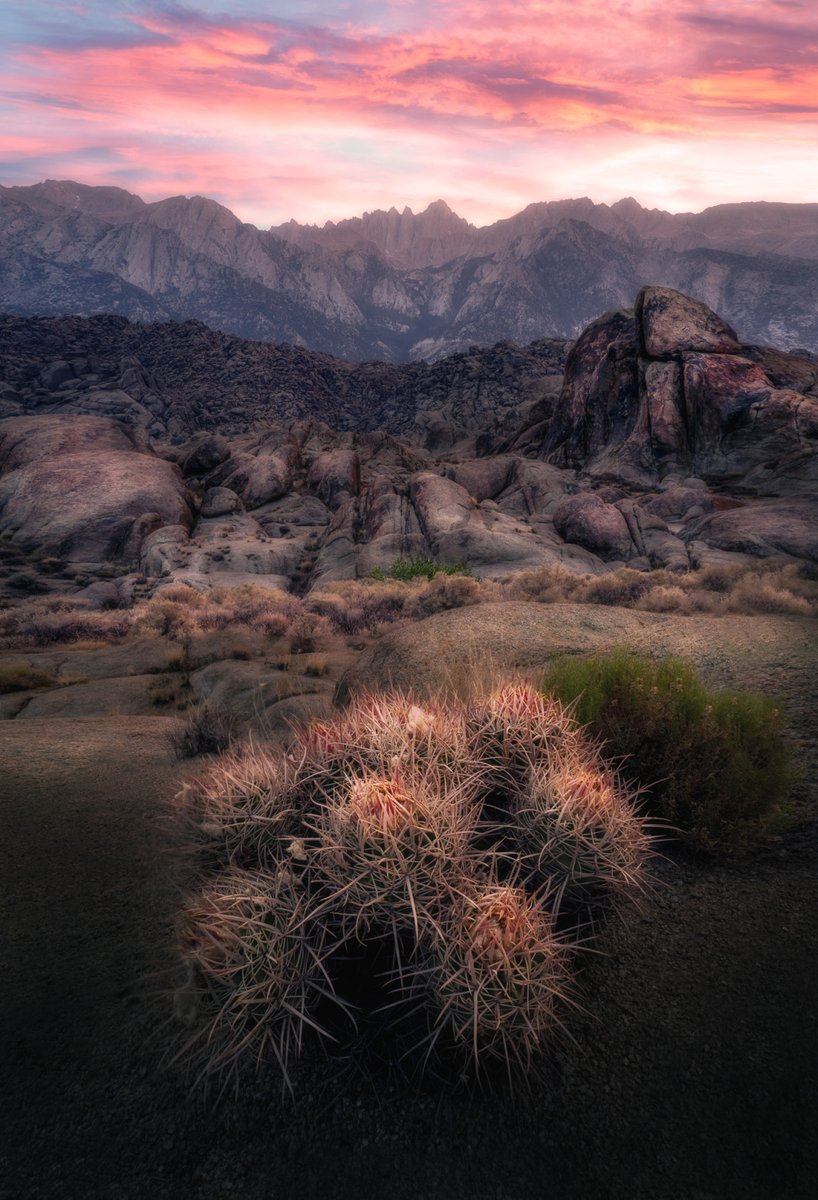 focuspirate tweet media