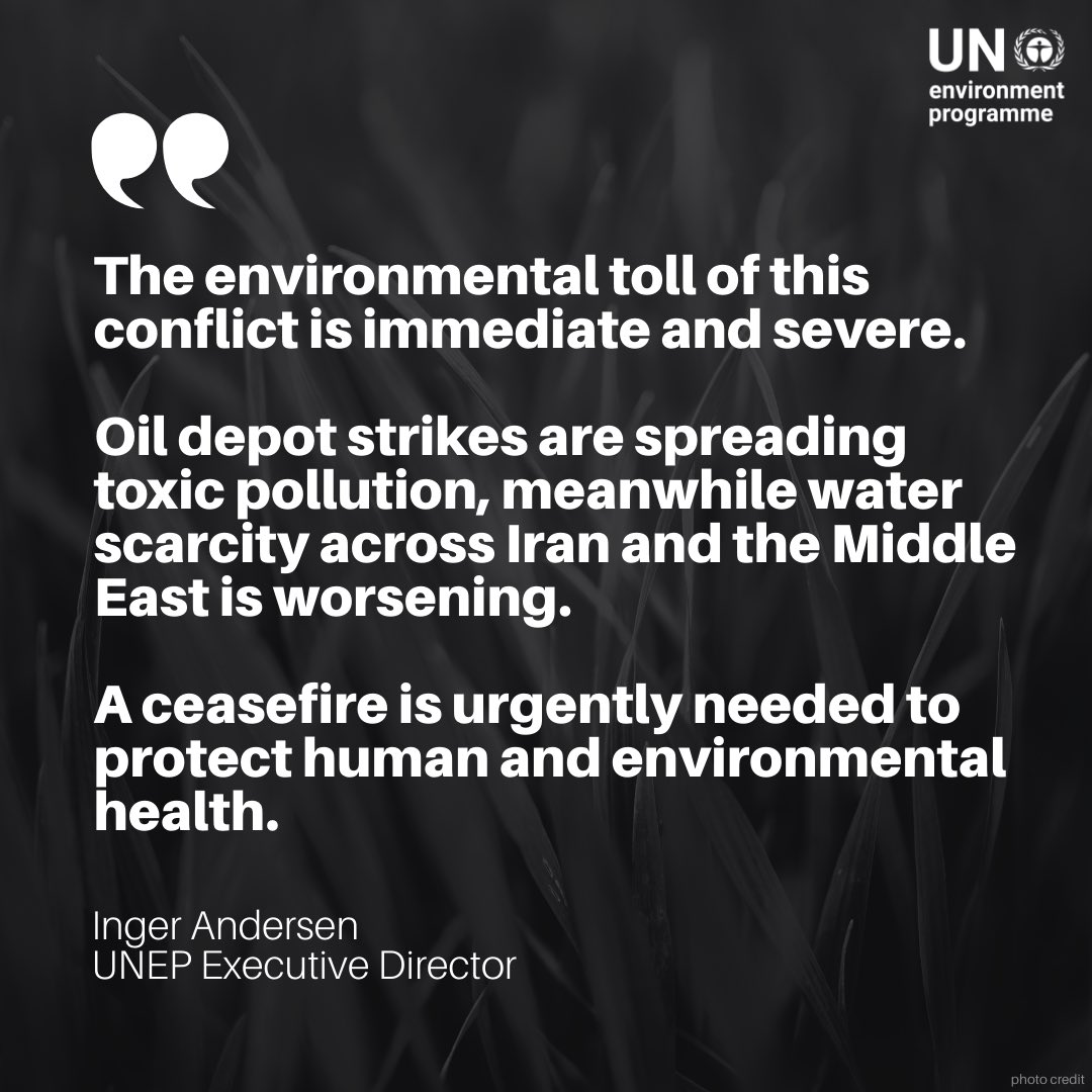 UN Environment Programme tweet media