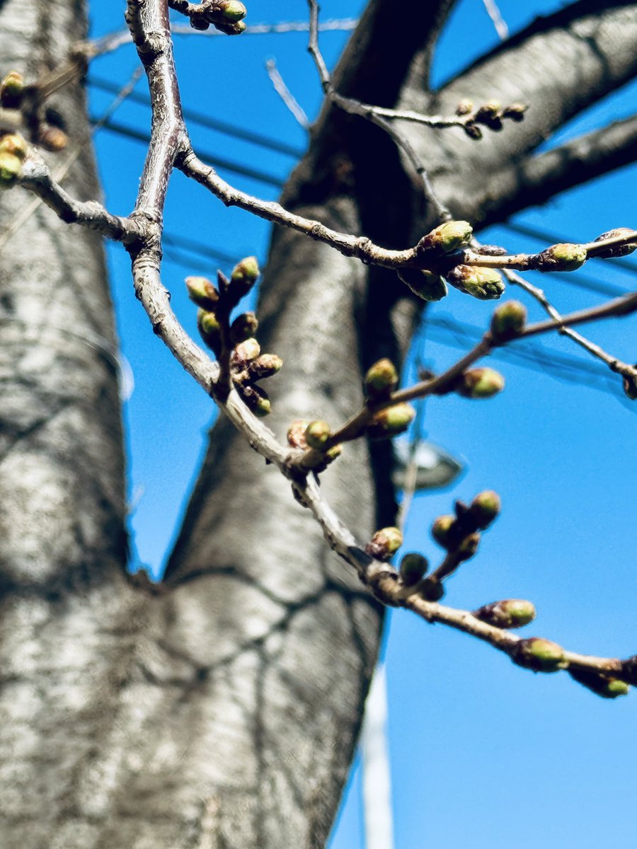 浅倉大介 tweet media