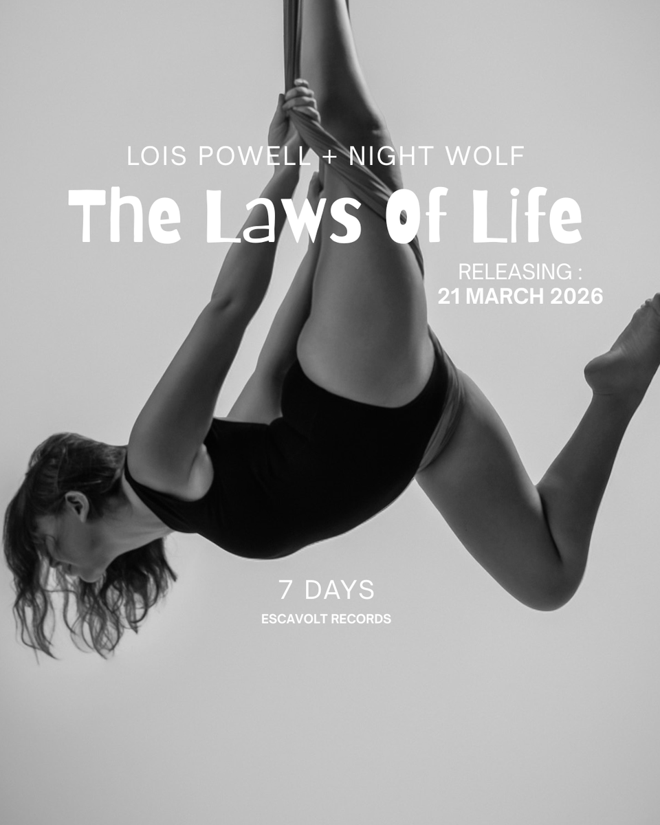 Night Wolf tweet media