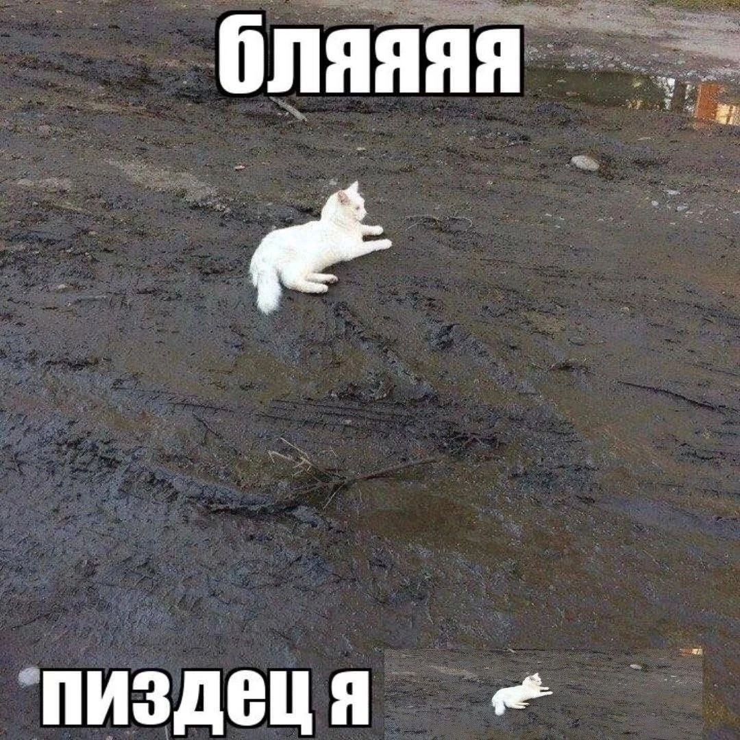 🔺🔳Вагнер🔲🔻 (@vag_ner1337) on Twitter photo 