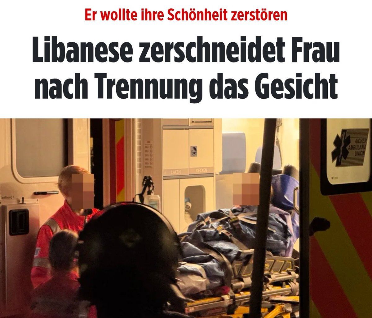Seiner Ex nach der Trennung das Gesicht zu zerschneiden, wie abartig kann ein Mensch sein?

Steinbruch und dann ab in den Flieger.
✈️ #Remigration