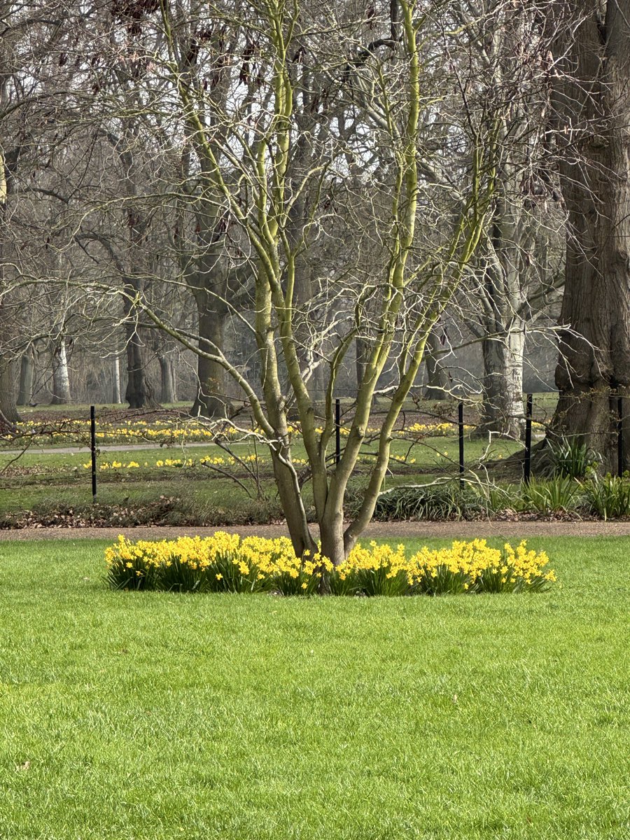 BalNanray tweet media