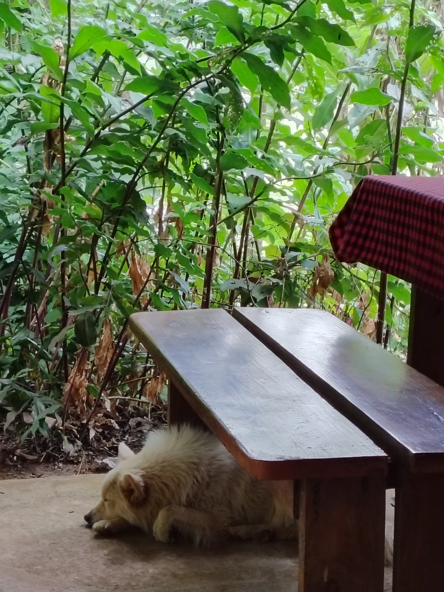 do nothing vacations tweet media